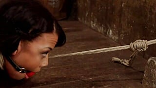 Newbie Bondage Sybian Sluts Extreme Big Boobs Porn Video