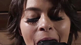 Nicole Aria BDSM Dungeon Discipline Big Boobs Porn Video